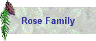 Rose Family